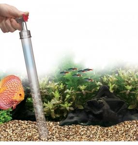 Tips on cleaning your aquarium