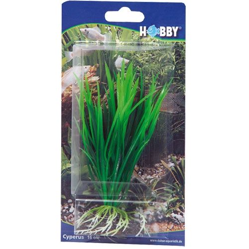 Hobby Cyperus 41500