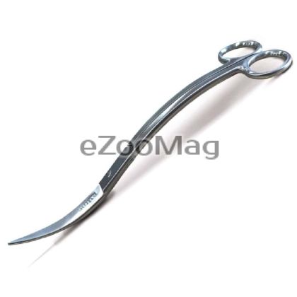 Scissors for plants - 20 CM
