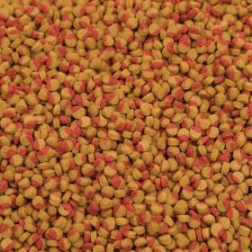  Tetra Cichlid Color - Food for Cillips 10l