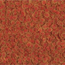 TetraPro Color Crisps - fish food 10L