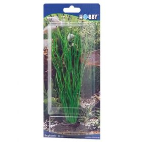 Hobby Sagittaria 41502