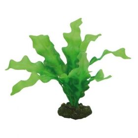 Hobby Echinodrus 41504