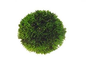 Hobby Plant Ball 41540 9cm