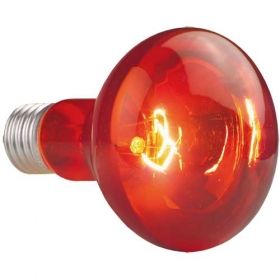 Hobby Infraredlight Lamp 37382 75W