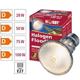 Hobby Halogen Floodlight 37388 100W