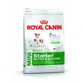 Royal Canin Mini Starter 159820 3kg