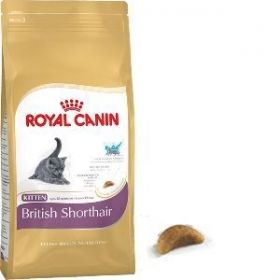 Royal Canin Persian Adult 139760 2kg