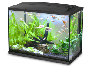 Hailea Aquarium K20 36 x 26 x 29cm 20L